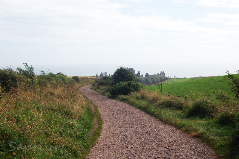 Dunnottar-Castle-schottland-scotland-reise-tipp-blog-sapri-design-roadtrip-burgen-schlösser-ruine-2