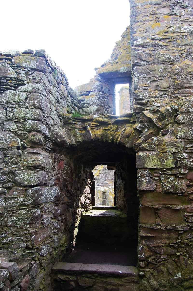 Dunnottar-Castle-schottland-scotland-reise-tipp-blog-sapri-design-roadtrip-burgen-schlösser-ruine-teil-2-15